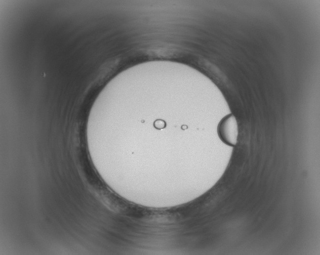 X0000081370738200702082345