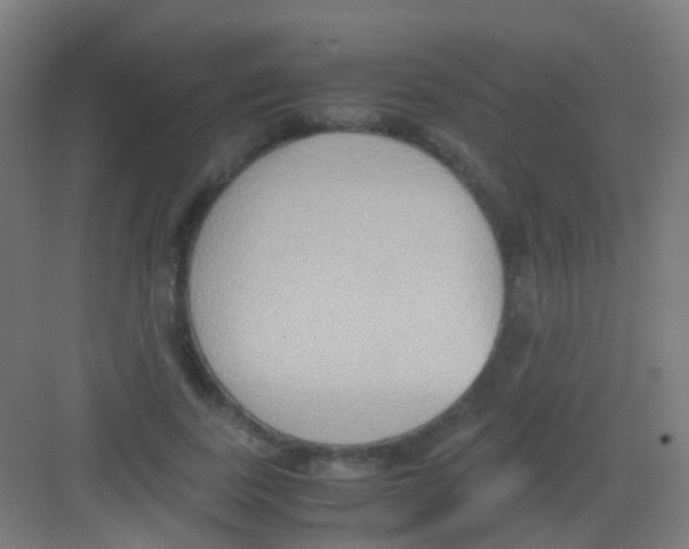 X0000081370739200702082345