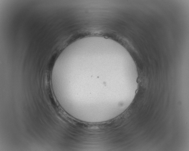 X0000081370740200702082345