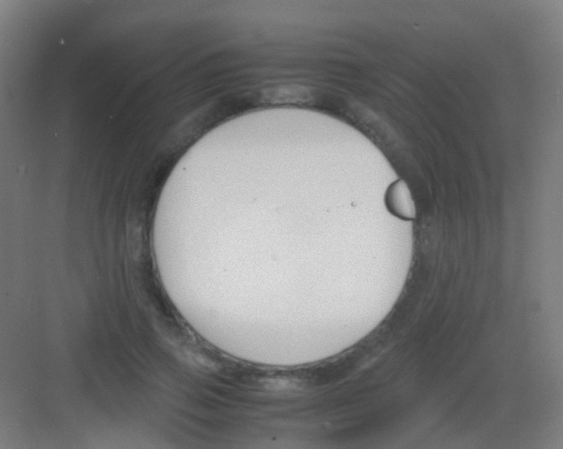 X0000081370741200702082345