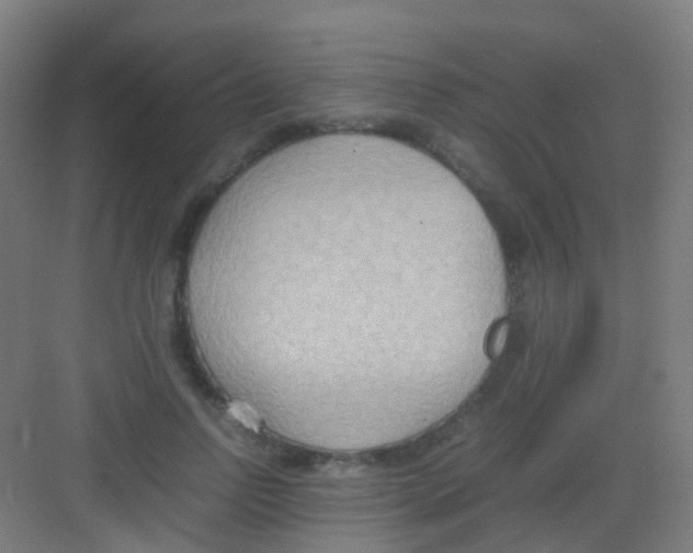 X0000081370742200702082346