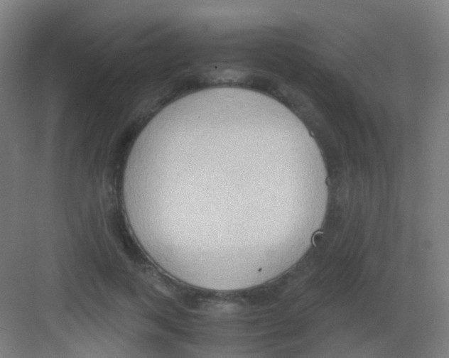 X0000081370743200702082346