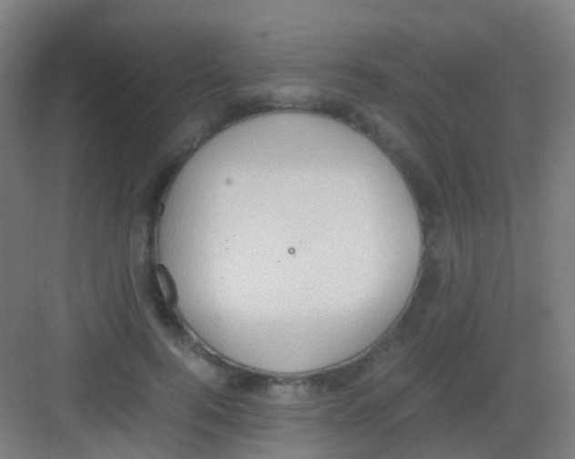 X0000081370744200702082346