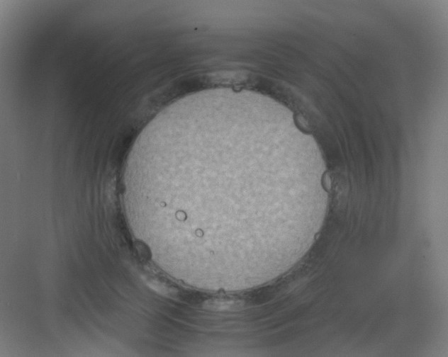 X0000081370745200702082346