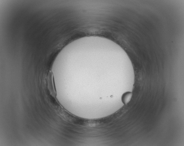 X0000081370746200702082346