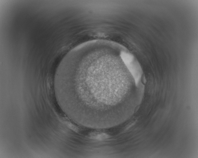 X0000081370747200702082346