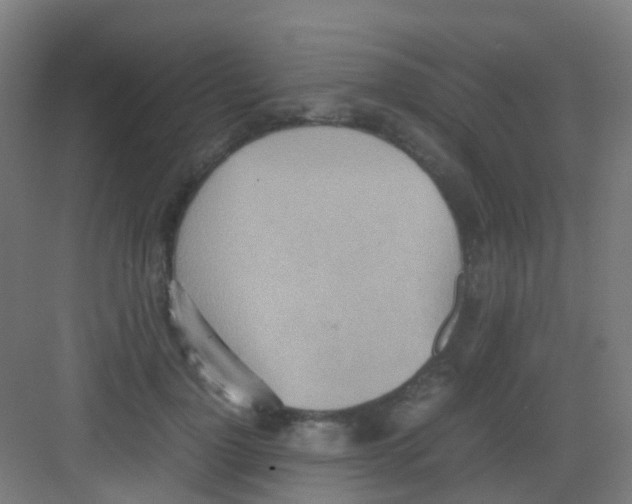 X0000081370748200702082346