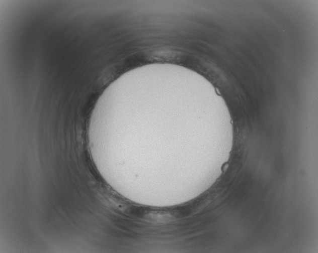 X0000081370749200702082346