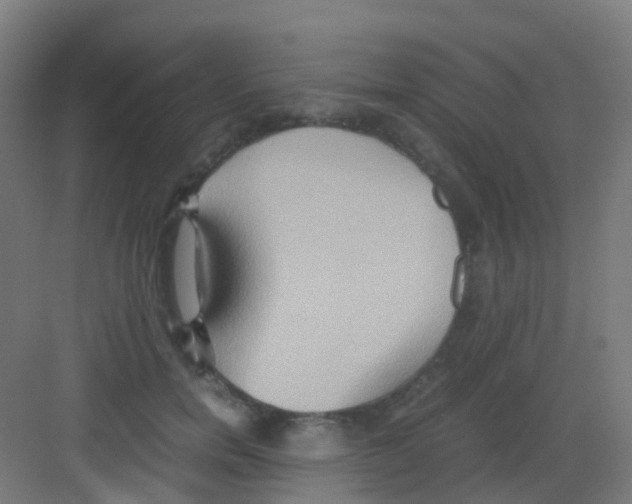 X0000081370750200702082346