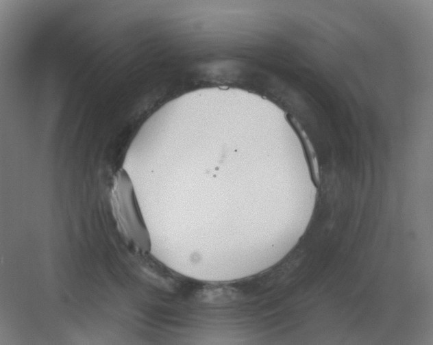 X0000081370752200702082346