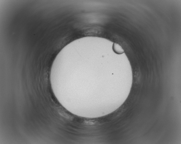 X0000081370753200702082346