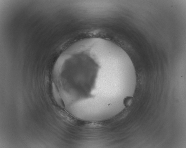 X0000081370754200702082346