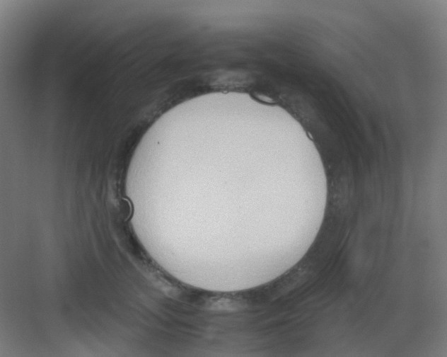 X0000081370755200702082346