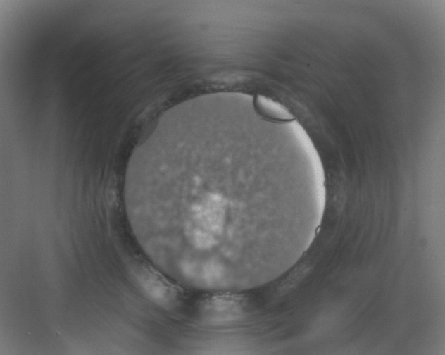 X0000081370758200702082346