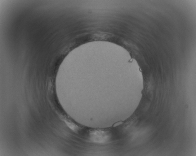 X0000081370759200702082346