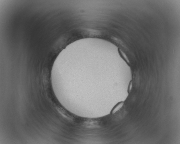 X0000081370760200702082346