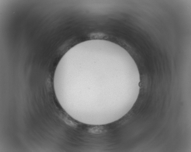 X0000081370761200702082346