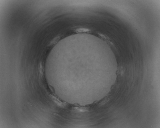 X0000081370763200702082346