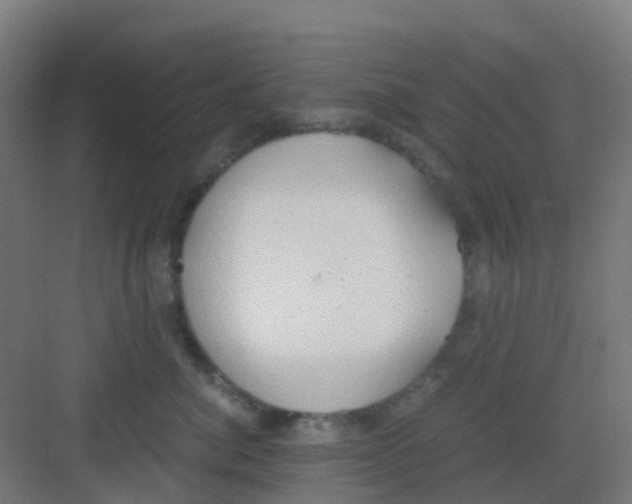 X0000081370764200702082346