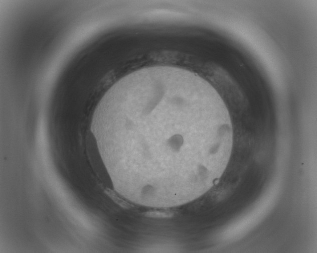 X0000081370765200702082346