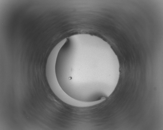 X0000081370766200702082346