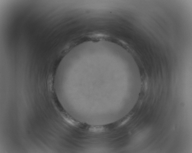 X0000081370767200702082346