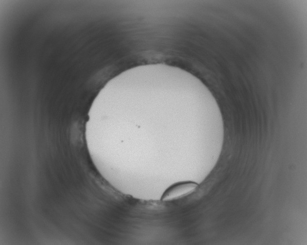 X0000081370768200702082346