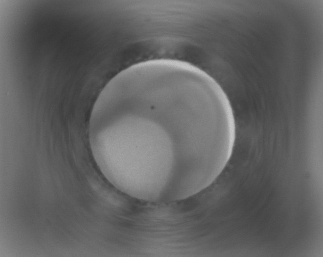 X0000081370769200702082345