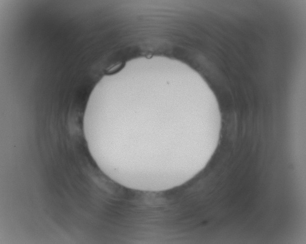 X0000081370770200702082345