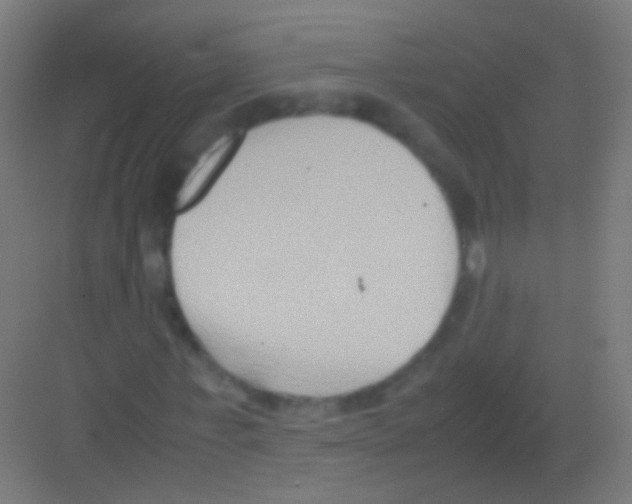 X0000081370771200702082345