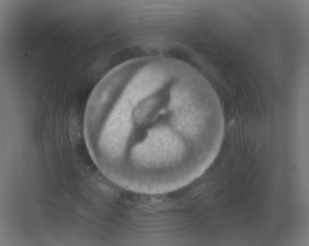 X0000081370772200702082345