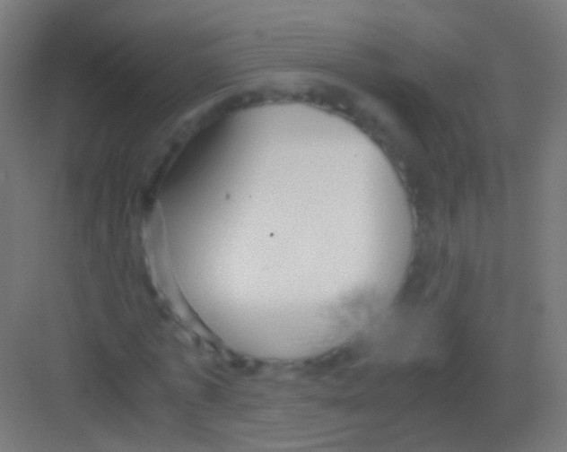 X0000081370773200702082345