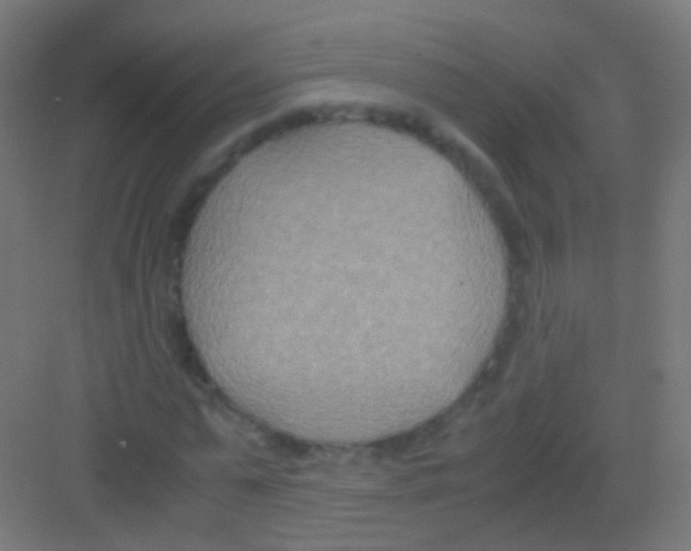 X0000081370775200702082345