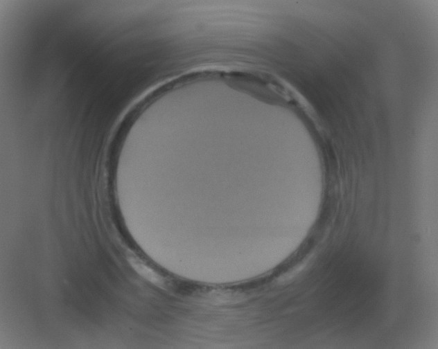 X0000081370779200702082345