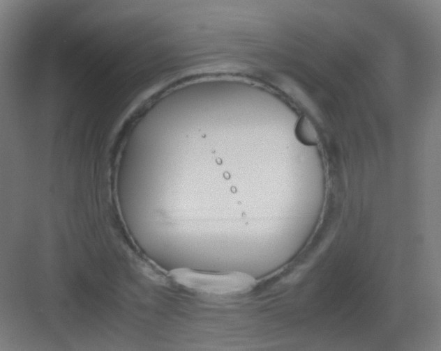 X0000081370781200702082345