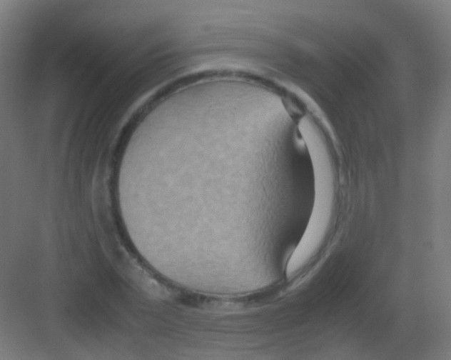 X0000081370783200702082345