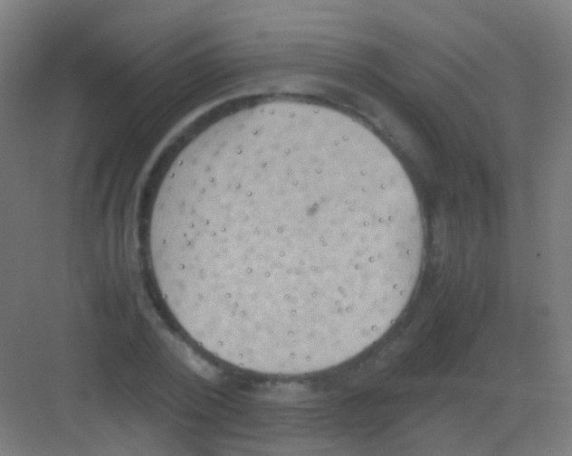 X0000081370784200702082345