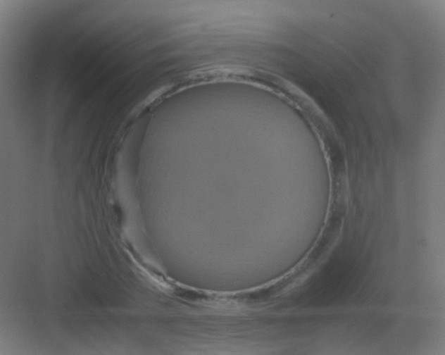 X0000081370785200702082345