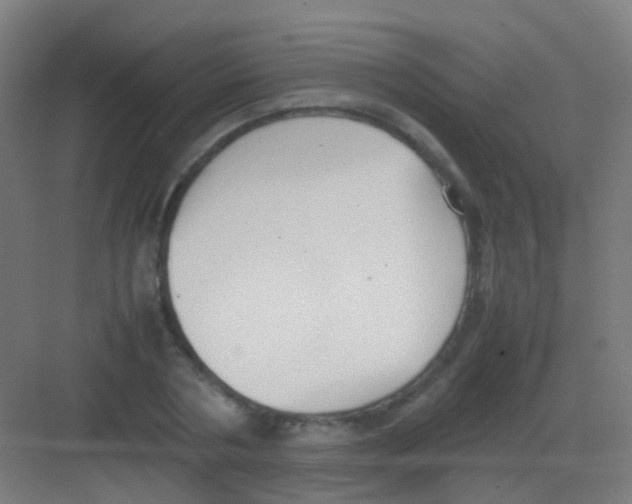 X0000081370786200702082345