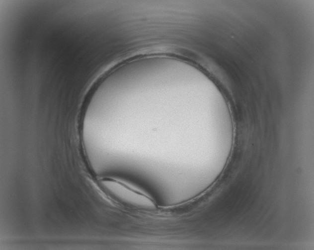 X0000081370789200702082345