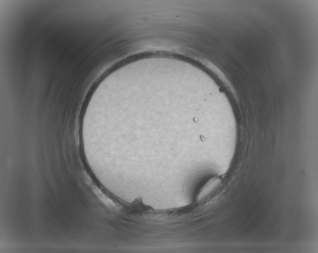 X0000081370791200702082345