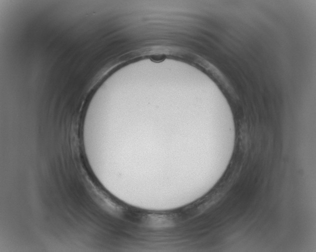 X0000081370794200702082345