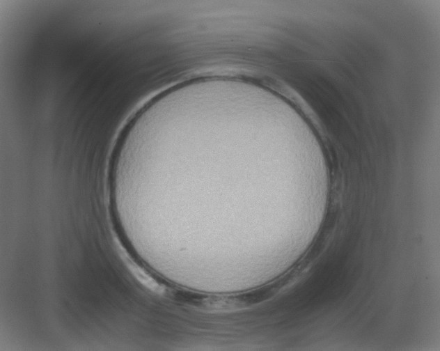 X0000081370795200702082345