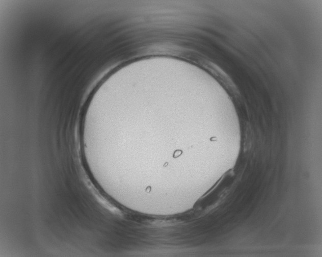 X0000081370796200702082345