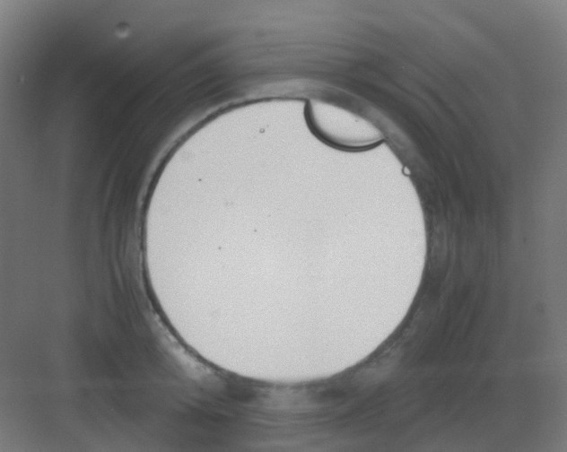 X0000081370800200702082345