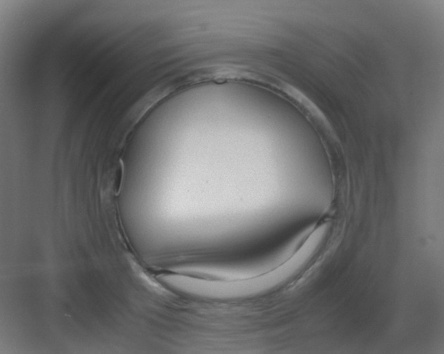 X0000081370801200702082345