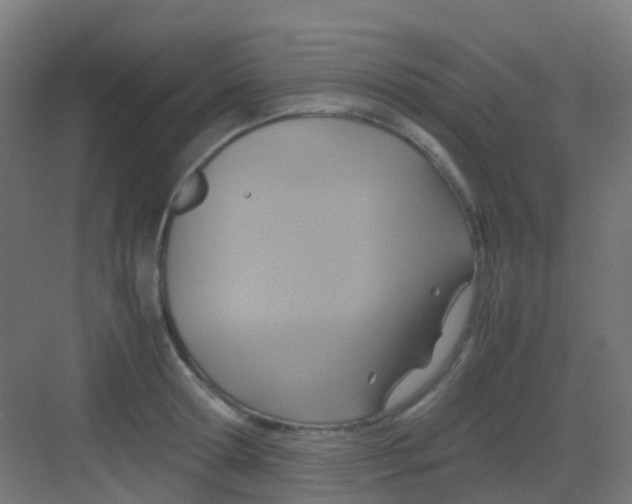 X0000081370802200702082345