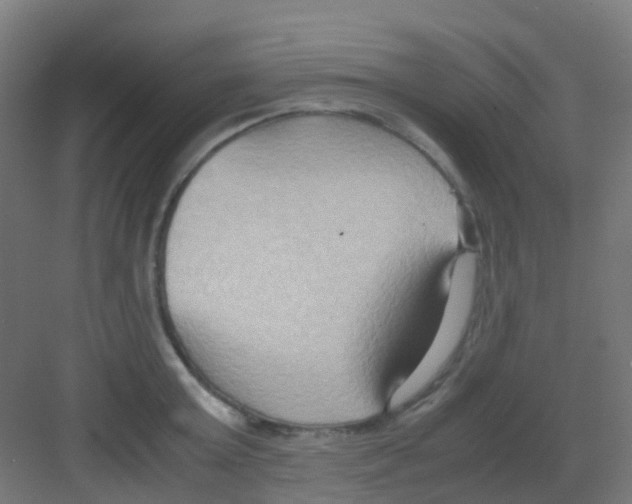 X0000081370803200702082345