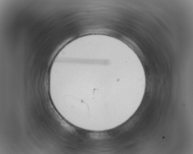 X0000081370804200702082345