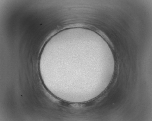 X0000081370805200702082345